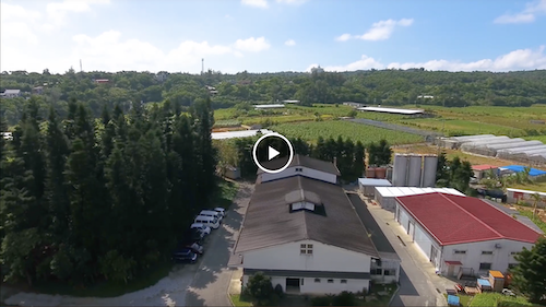 ・神村酒造様（泡盛酒造）