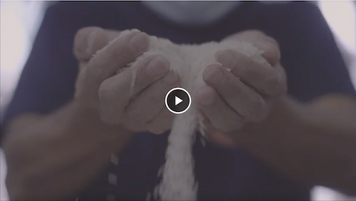 ・神村酒造様（泡盛酒造）