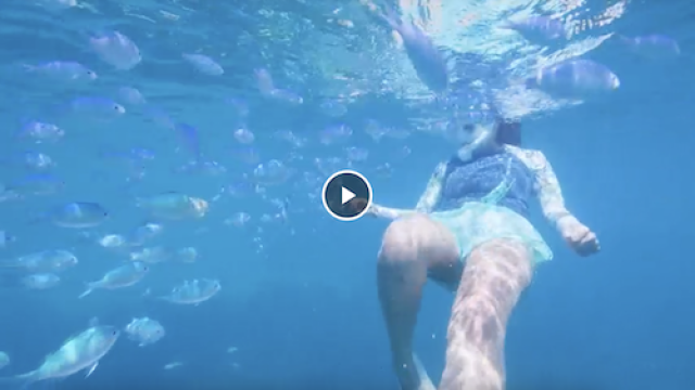 ホテル日航アリビラ様