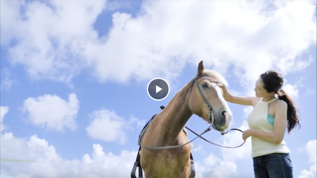 ホテル日航アリビラ様